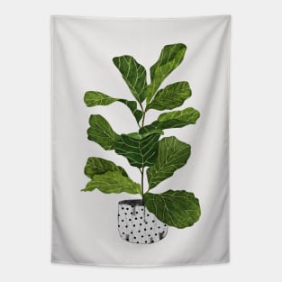 Fiddle leaf fig tree interior plant Tapestry