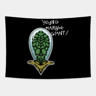 Young Marble Giants indie pop Tapestry