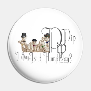 Brit Humour PipPip Gentlemen Camels  HumpDay Pin