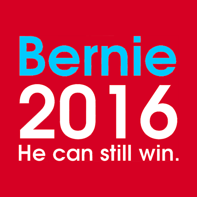 Bernie Can Still Win 2016 by dikleyt