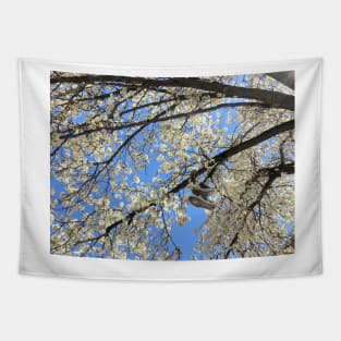 Brooklyn Blossoming Tree Tapestry