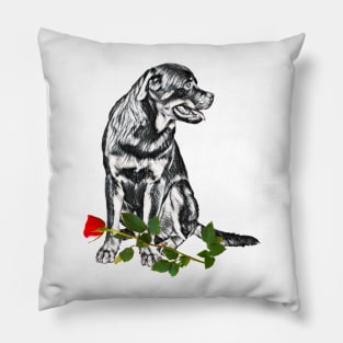 Valentines Rottweiler With Red Rose Pillow