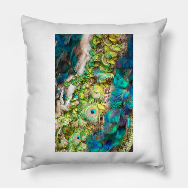 Peacock feathers Pillow by Photopat