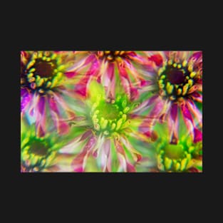 Colorful Zinnia Flowers Photographed Through A Prism T-Shirt