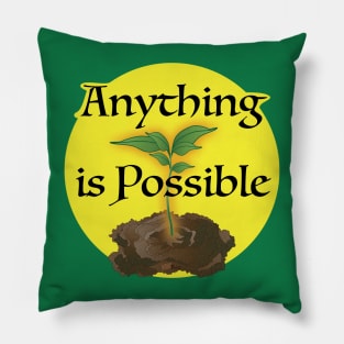 Anything is Possible Pillow