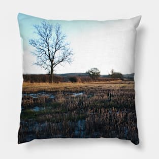 A farmer's Field in Winter - Yorkshire, UK Pillow