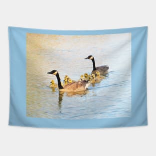 Family Afloat Canada Geese & Goslings No.2 Tapestry