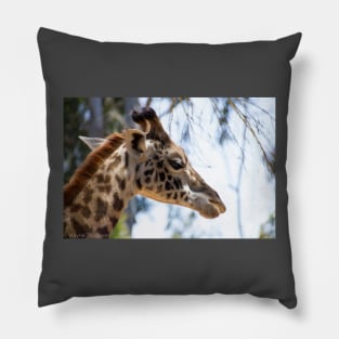 Giraffe Portrait Pillow