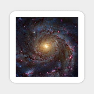 Pinwheel Galaxy, HST image (C030/0050) Magnet