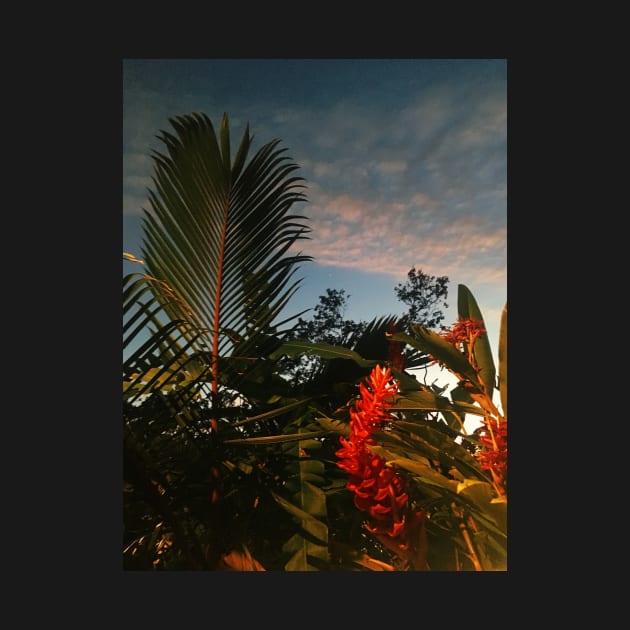 Caribbean Sunset. Palm Tree & Red Flower by SoCalDreamin