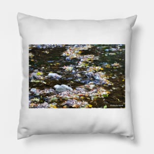 Babbling Autumn Brook Pillow