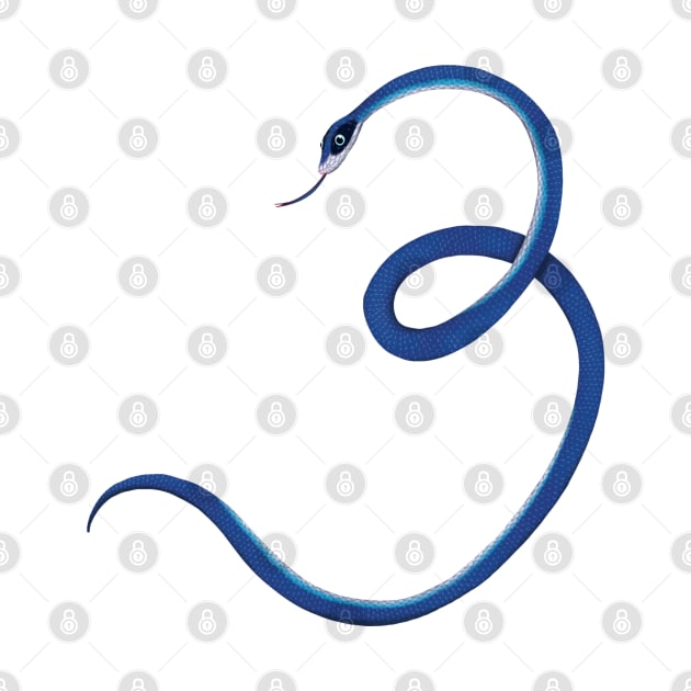 3 - Blue racer snake by miim-ilustra