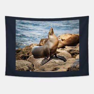 California Sea Lion Portrait Tapestry