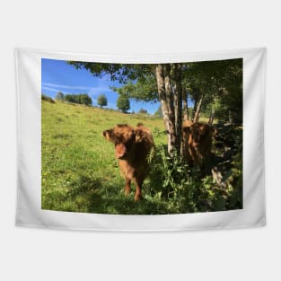 Scottish Highland Cattle Calves 1489 Tapestry