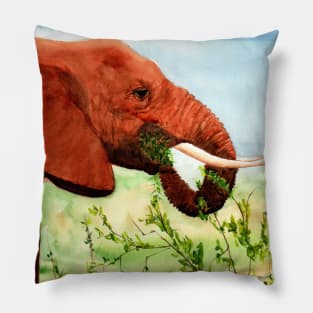 Wrinkles, Elephant Snacking Pillow