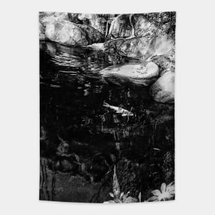 Reflecting Pond (Black & White) Tapestry