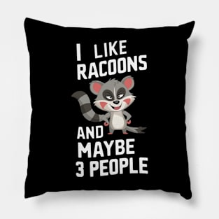 I Like Racoons And Maybe 3 People Racoon Lover Cute Animal Gift For Trash Panda Fan Funny Cartoon Humour Pillow