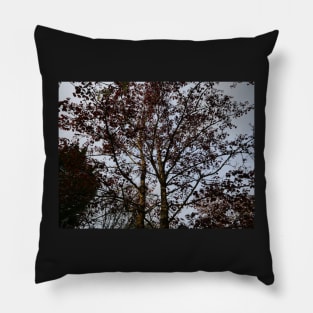 Purple leaves at sundown Pillow