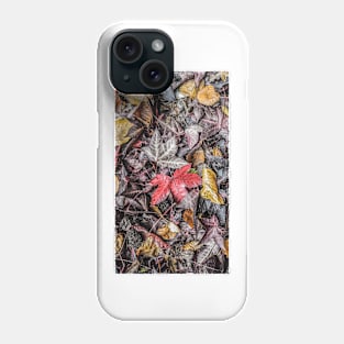 Autumn Leaves Phone Case