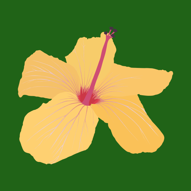 hawaii flower by daidai