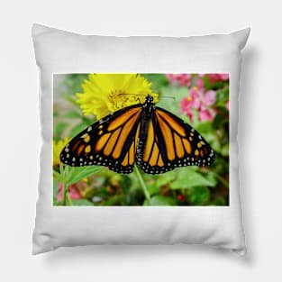 621 monarch Pillow