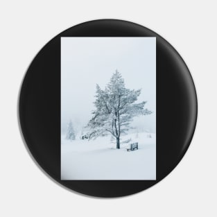 White Winter - Snow-Covered Bench and Tree in Norwegian National Park Pin