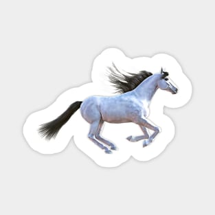 White Horse Magnet