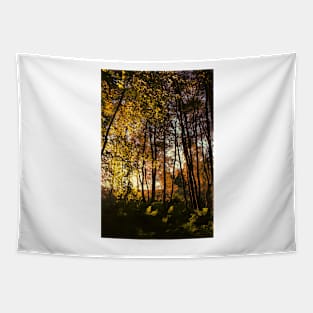 Forest Light Tapestry