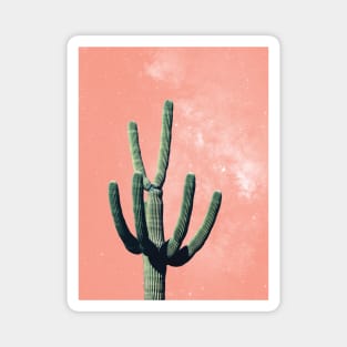 Cactus Mexican Succulent Pink Tropical Magnet