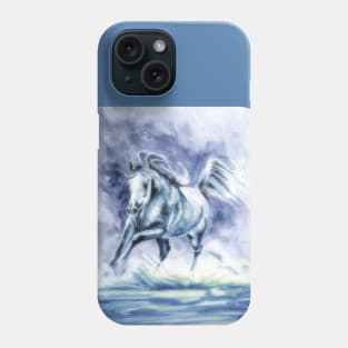 Arabian Horse.  Arabian Sea. Phone Case