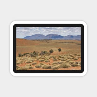 Wilpena Pound, Flinders Ranges in the Spring Magnet