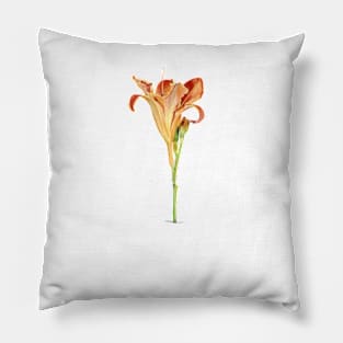 Orange Daylily Illustration Pillow