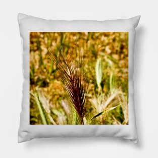 cli wheat Pillow