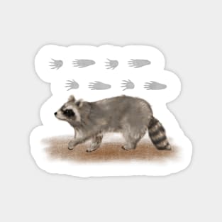 Raccoon Tracks Magnet