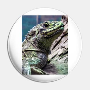 Sailfin Lizard Pin