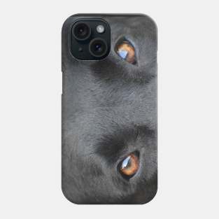 Begging Brown Eyes Phone Case