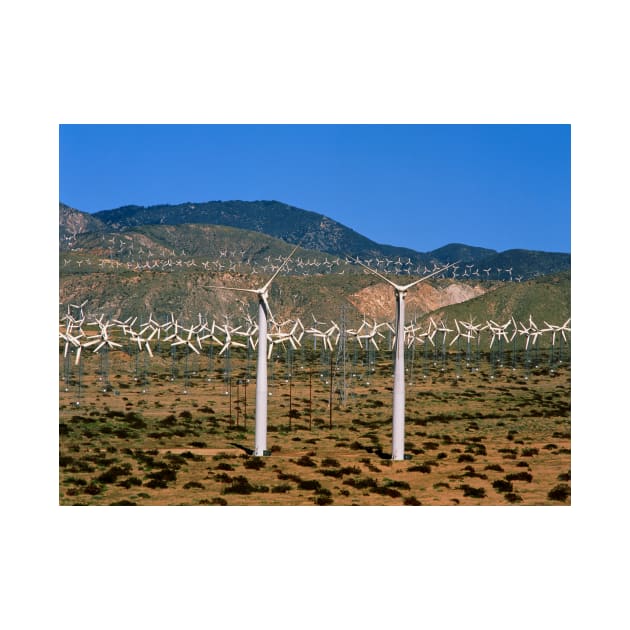 Wind farm, San Gorgonio Pass, California (T146/0356) by SciencePhoto