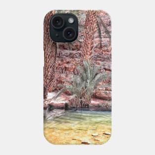 Oasis AIT MANSSOUR in TAFRAOUT City Phone Case