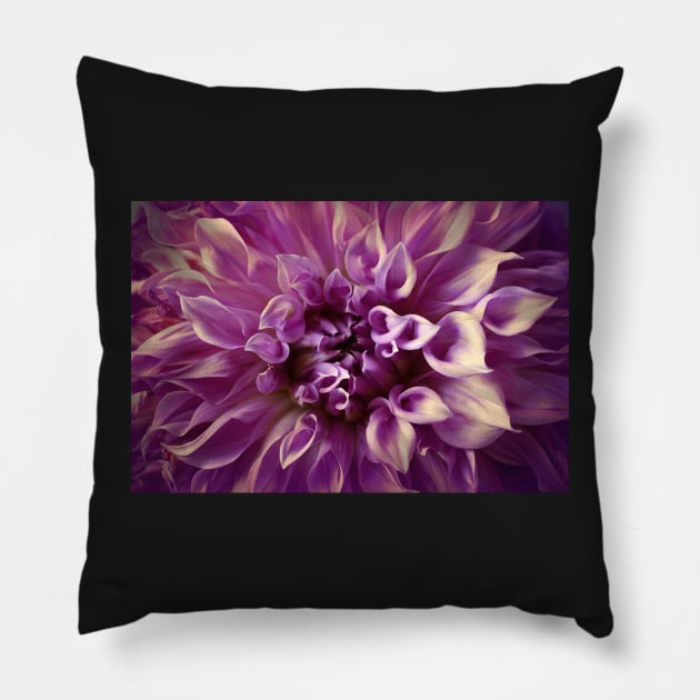 Dahlia Delight Pillow by AlexaZari