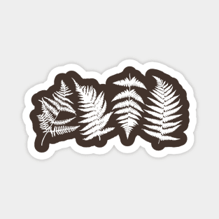 Botanical Fern Magnet