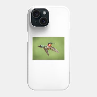 Hummingbird Male Ruby Throat Phone Case