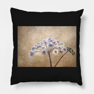 Wild Angelica Flower in Rain Pillow