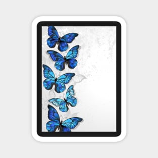 Design with Blue Butterflies Morpho Magnet