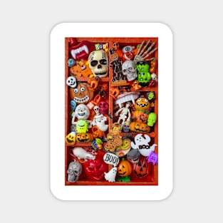 The Fun Of Halloween Magnet