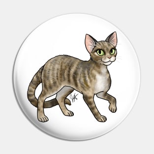 Cat - Devon Rex - Tabby Pin