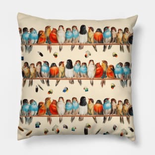 A PERCH OF COLORFUL BIRDS AND  FLYING FEATHERS PATTERN Pillow