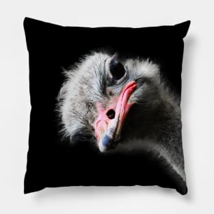 Funny Emu and Ostrich Lovers Design Pillow