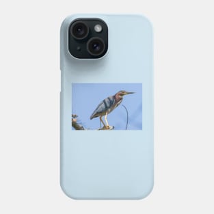 Green Heron Phone Case