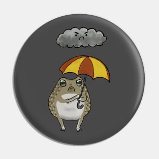 Frog and Cloud Pin