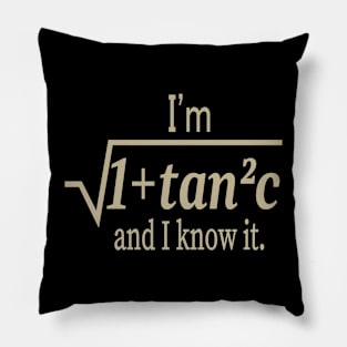 I'm Sqrt[1 + tan2 (c)] And I Know It Funny Math Pillow